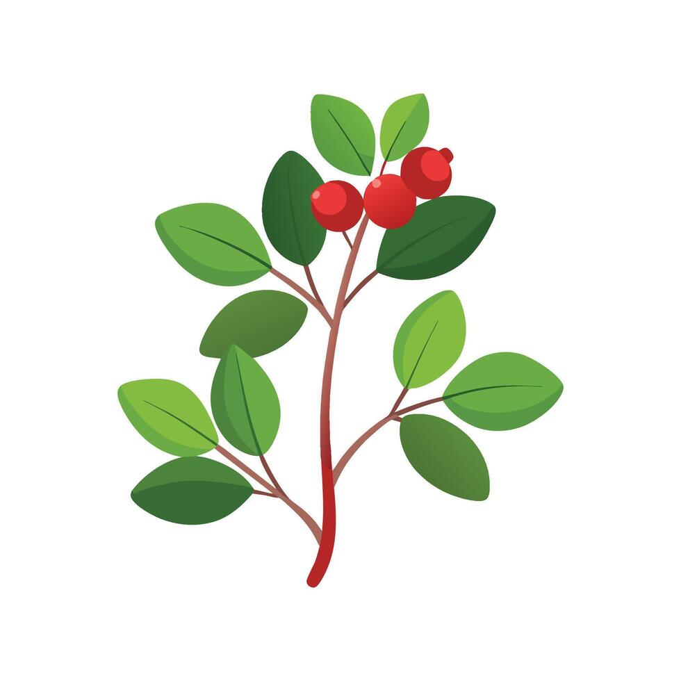 Creative Mitchella Repens Artwork vector