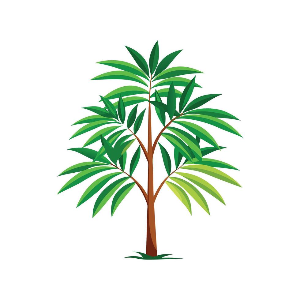 Elegant Chamaedorea Elegans Palm vector