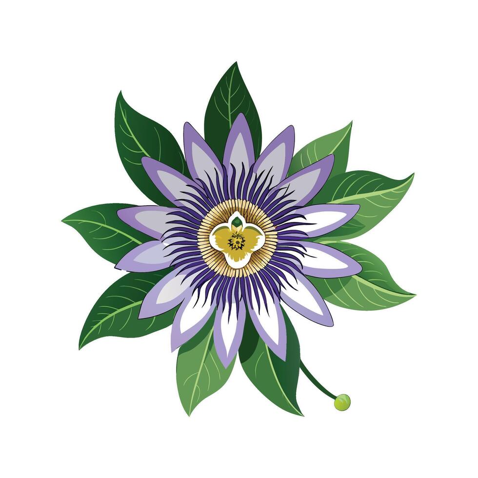 Stylish Passion Flower Design vector