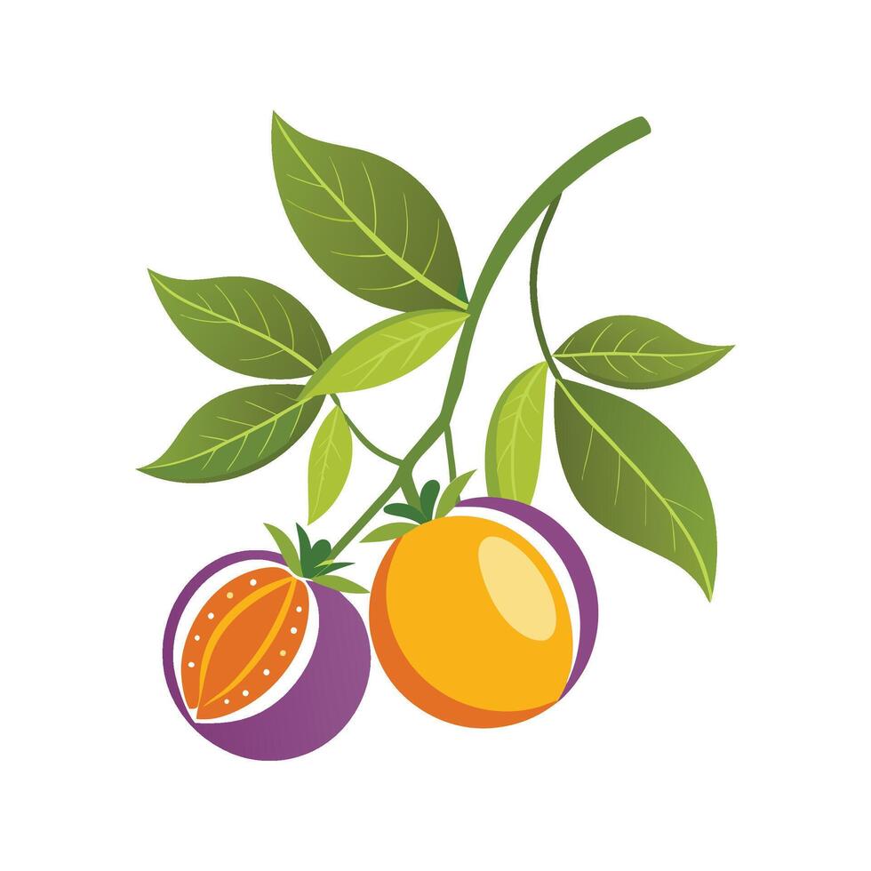 Stylish Passionfruit Vine Design vector