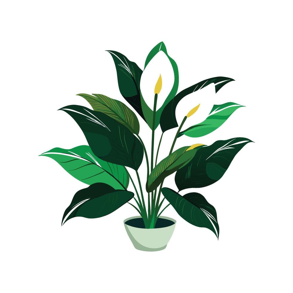 Vibrant Peace Lily Design vector