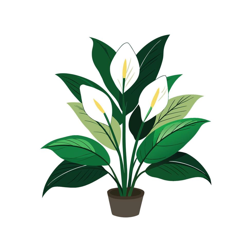 Charming Peace Lily Artwork vector