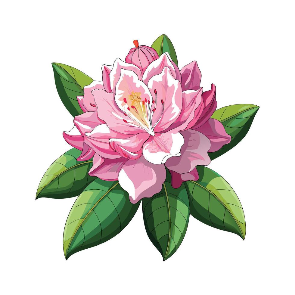 Creative Rhododendron Flower Artwork vector