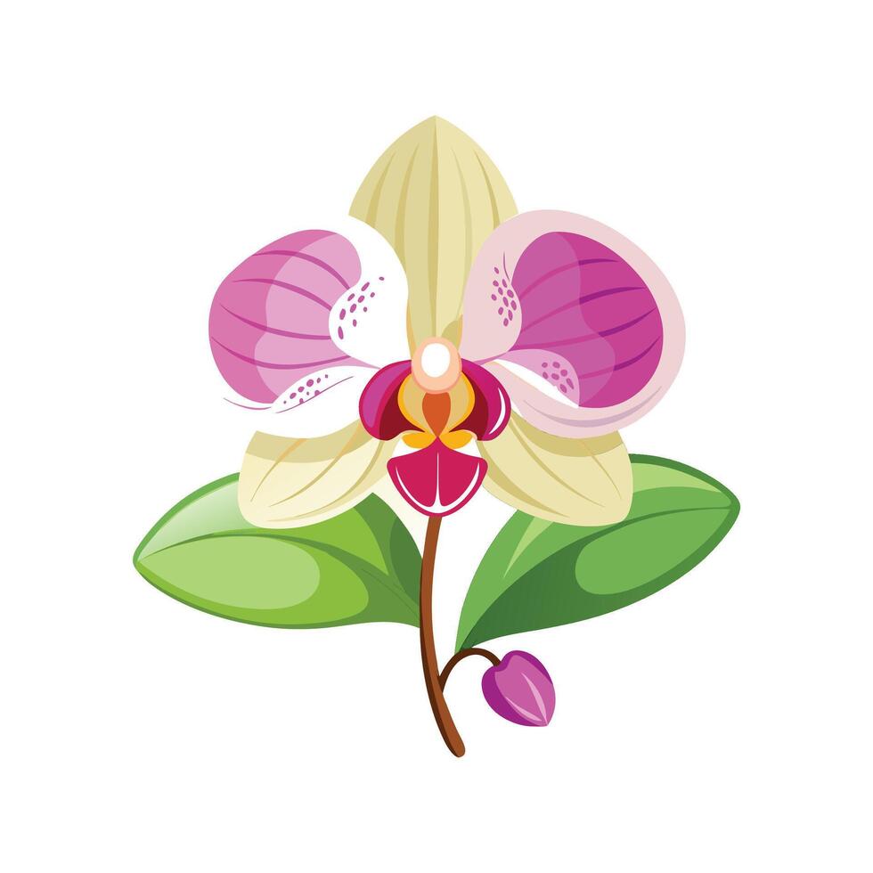 Charming Phalaenopsis Orchid Design vector