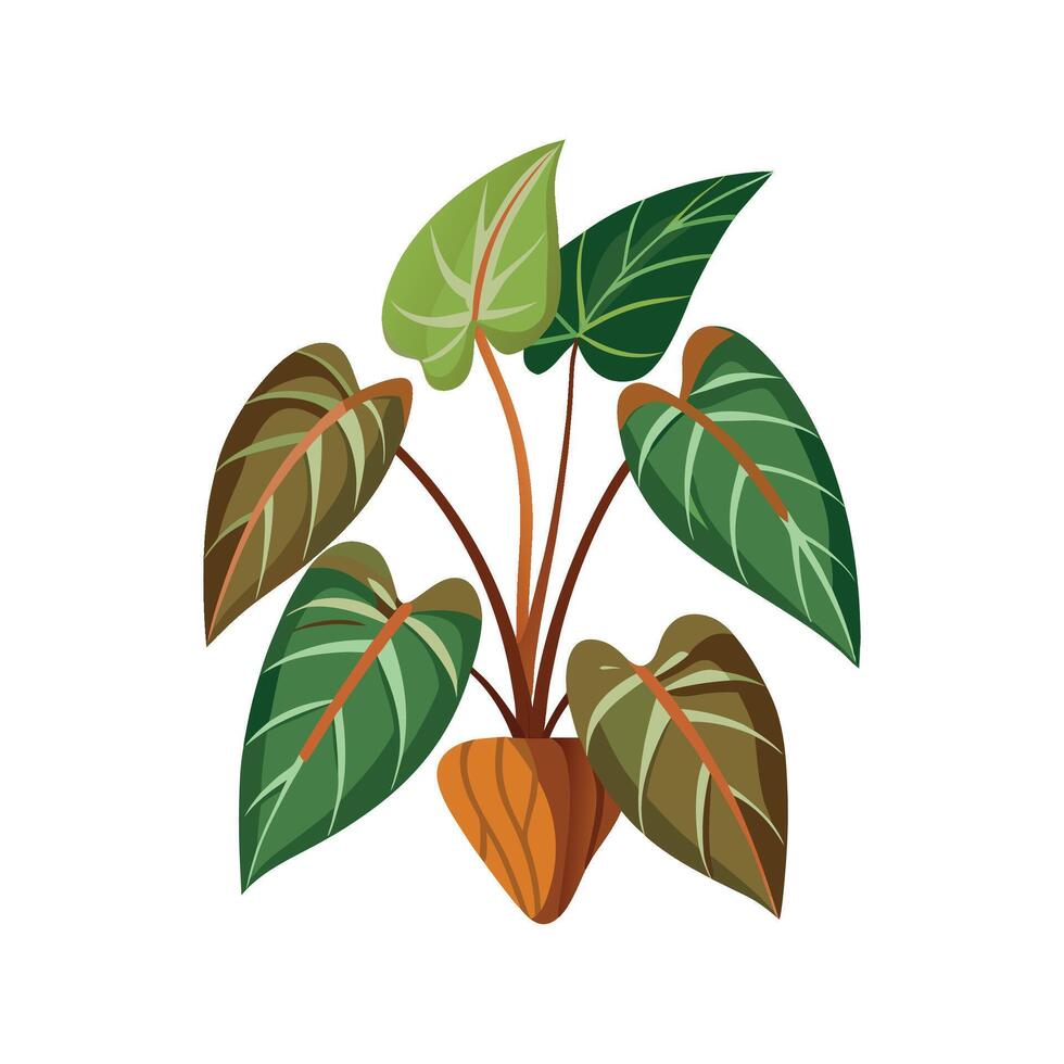 Artistic Philodendron Micans Leaf Design vector