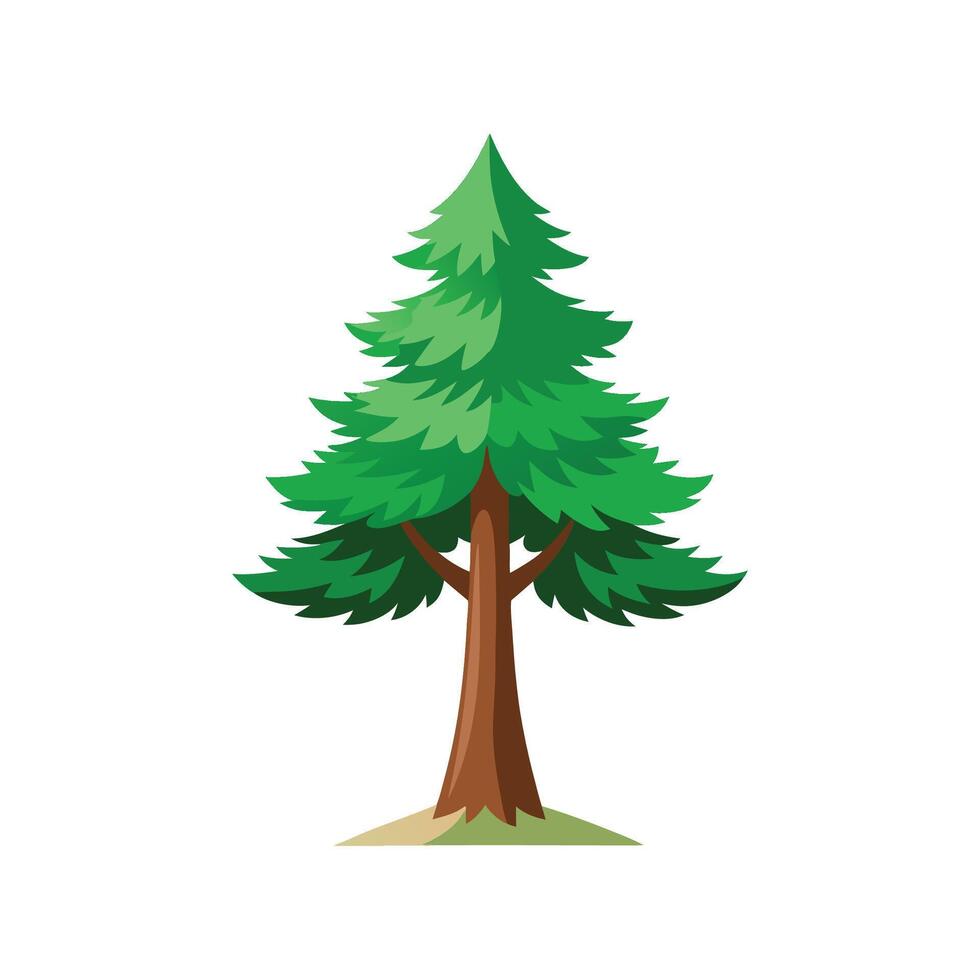 Elegant Pine Tree Pinus Leaf Artwork vector
