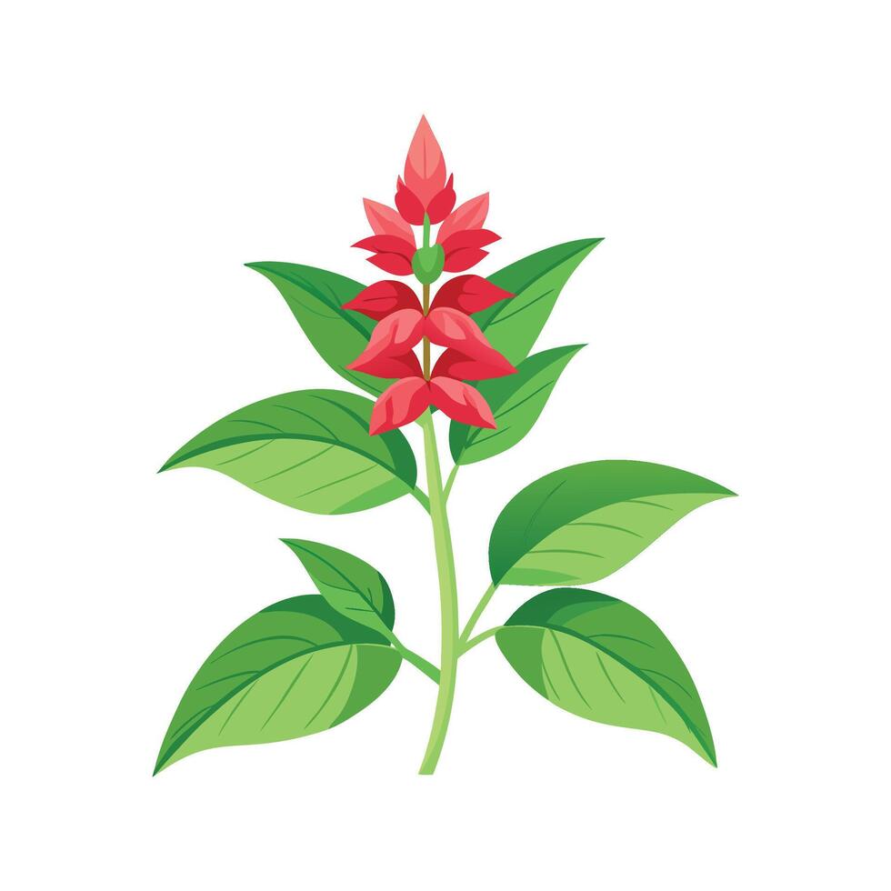 Charming Pineapple Sage Artwork vector