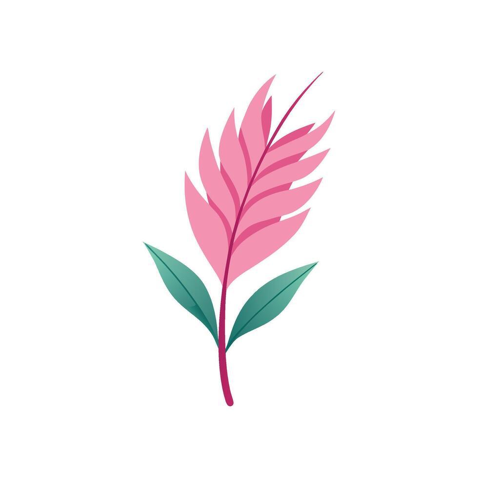 Vibrant Pink Quill Plant for Indoor Use vector