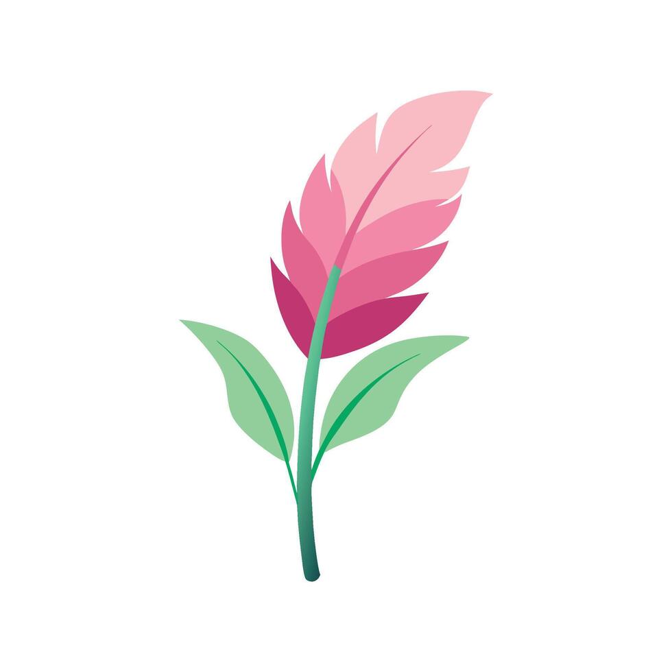 Elegant Pink Quill Plant for Tropical Decor vector