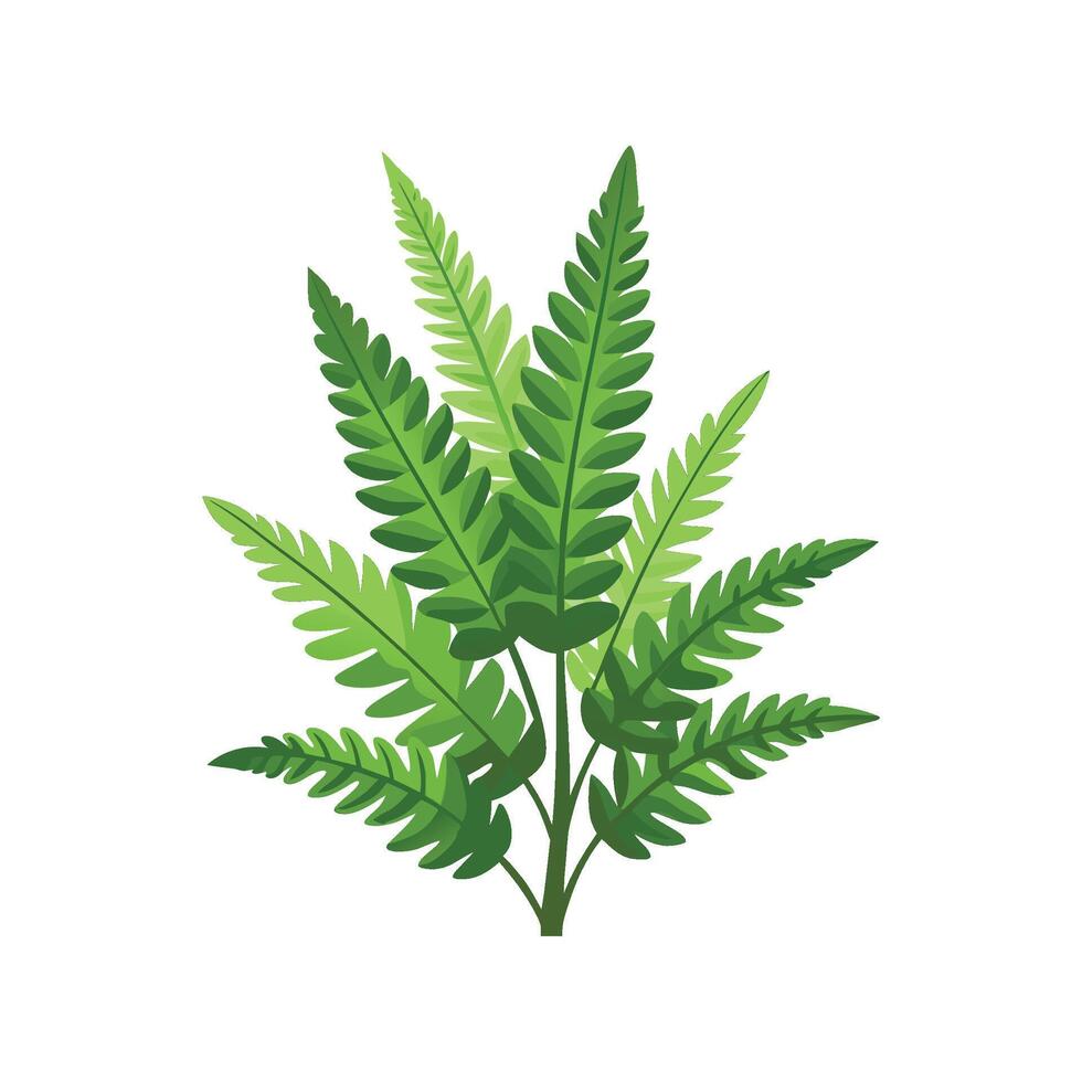 Stylish Platycerium Leaf Design vector