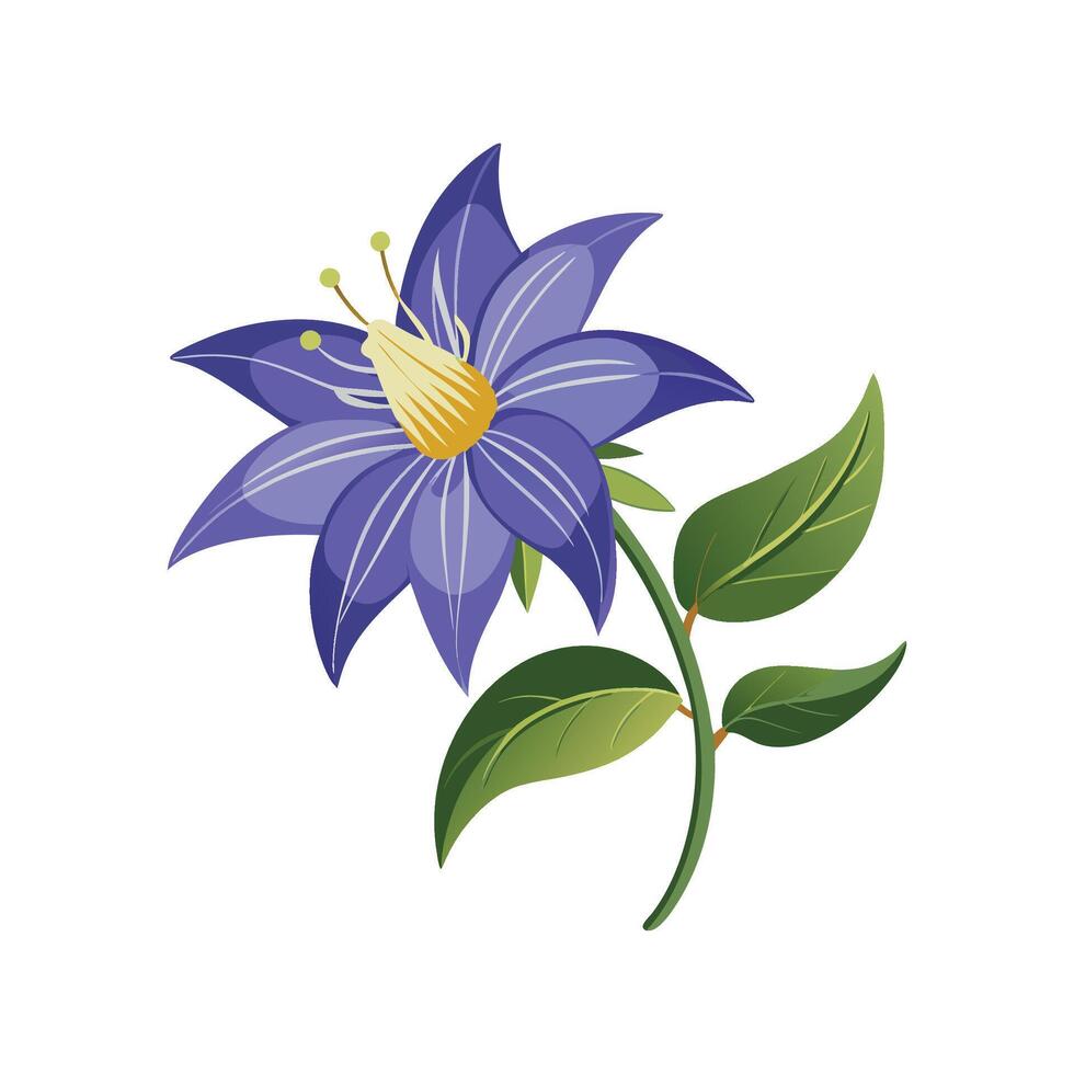 Charming Platycodon Flower Artwork vector