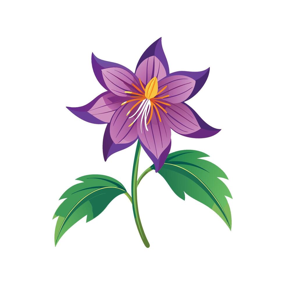 Vibrant Platycodon Flower Plant Design vector