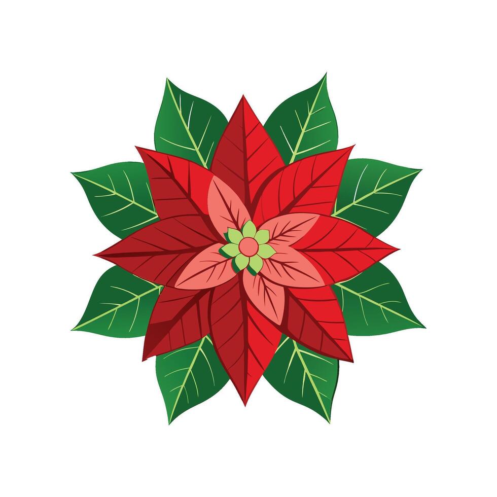 Vibrant Poinsettia Flower Artwork vector