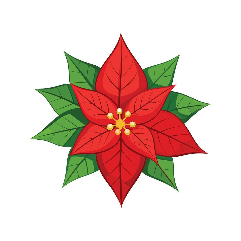 Charming Poinsettia Flower Design vector