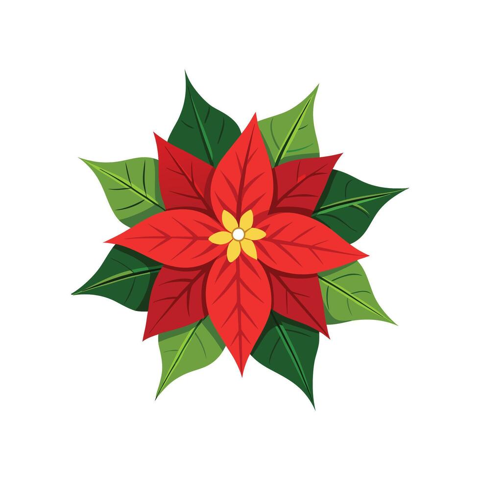 Elegant Poinsettia Plant Design vector