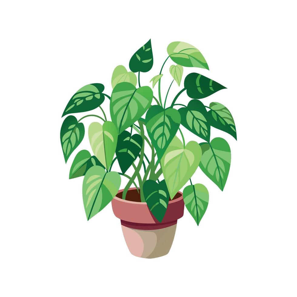 Stylish Pothos Leaf Graphic vector