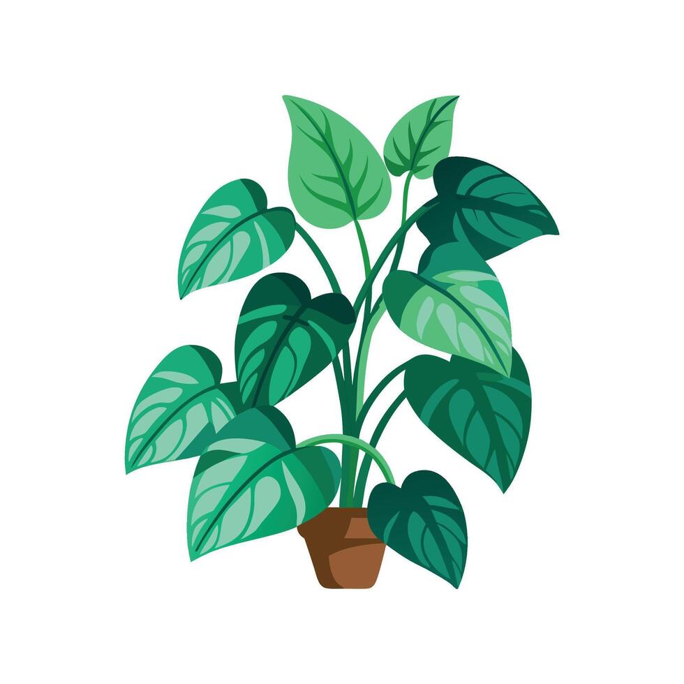 Nutritious Pothos Jade for Healthy Living vector