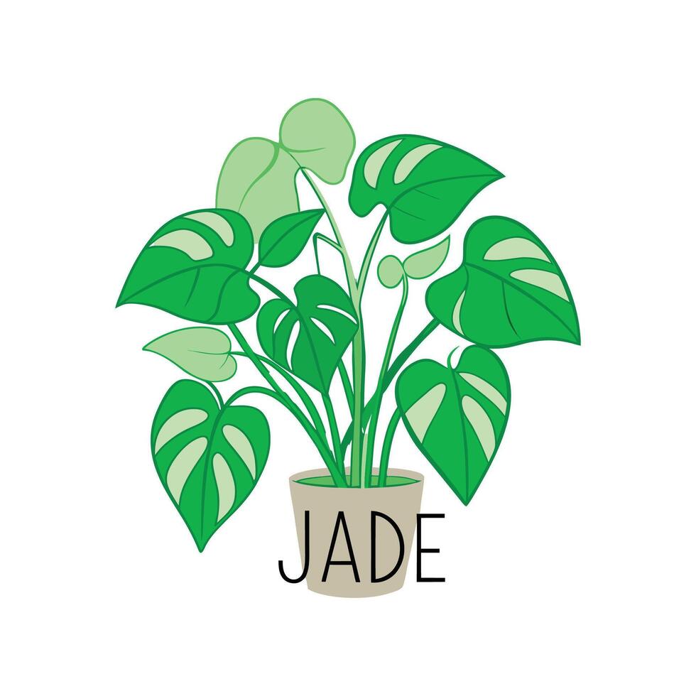 Charming Jade Pothos Leaf Artwork vector