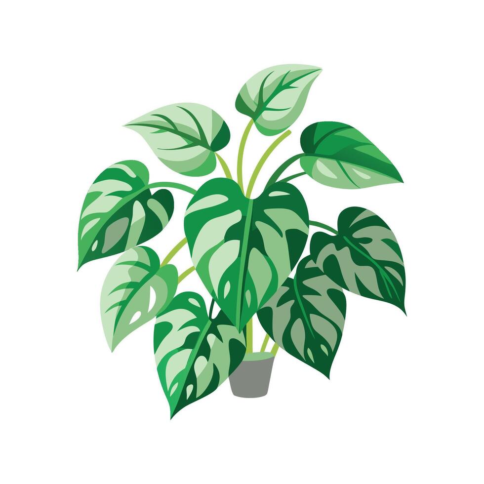 Elegant Jade Pothos Leaf Design vector