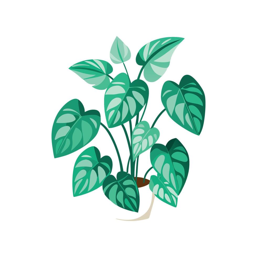 Vibrant Jade Pothos Plant Graphic vector