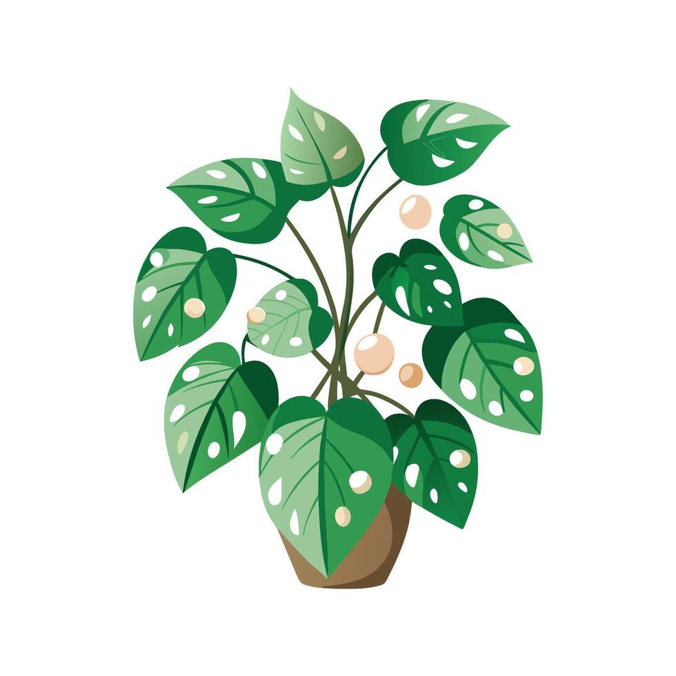 Stylish Pothos Pearls Leaf Design vector