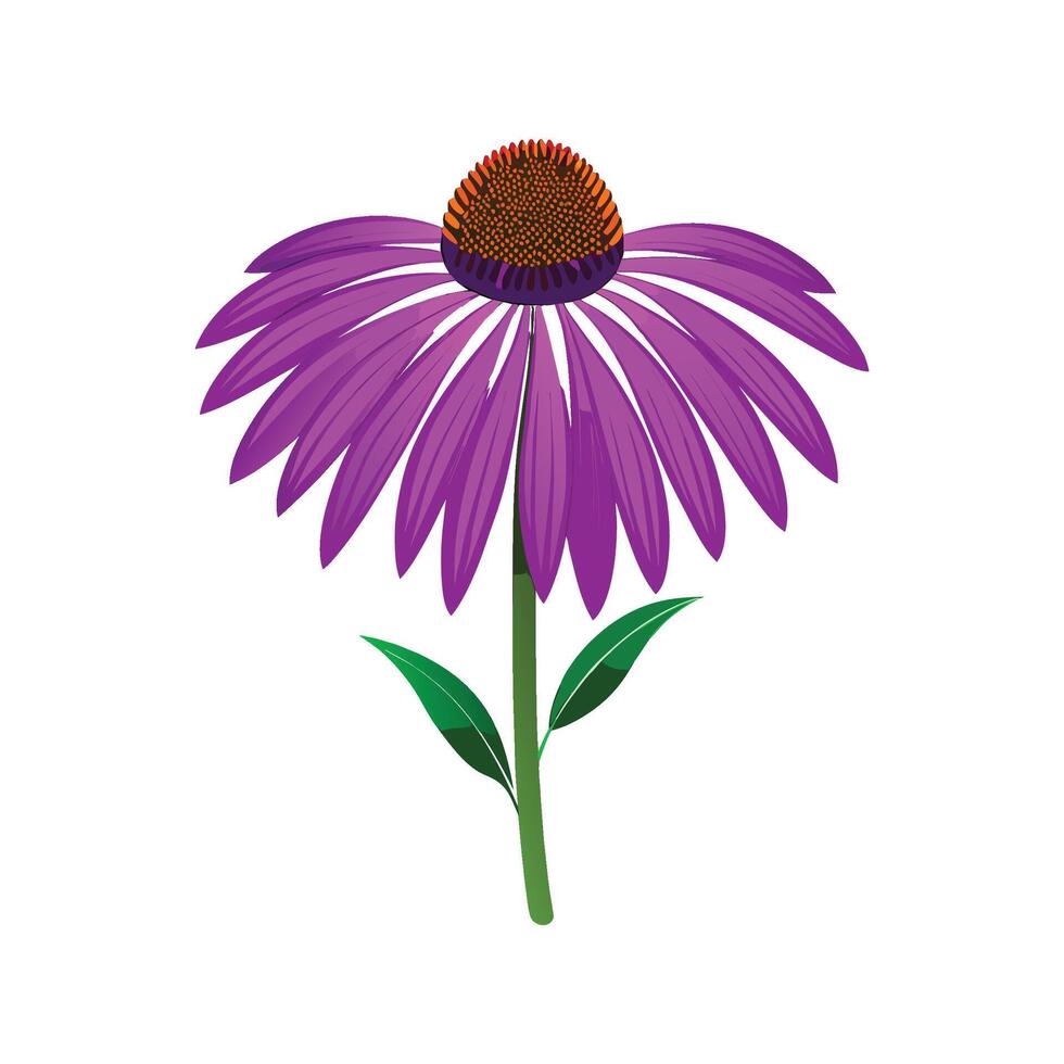 Elegant Purple Coneflower Leaf Design vector