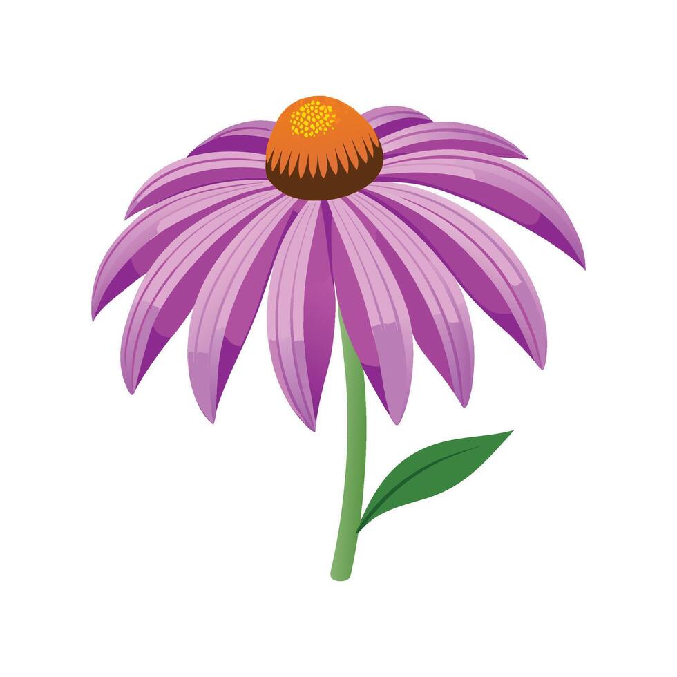 Charming Purple Coneflower Leaf Artwork vector