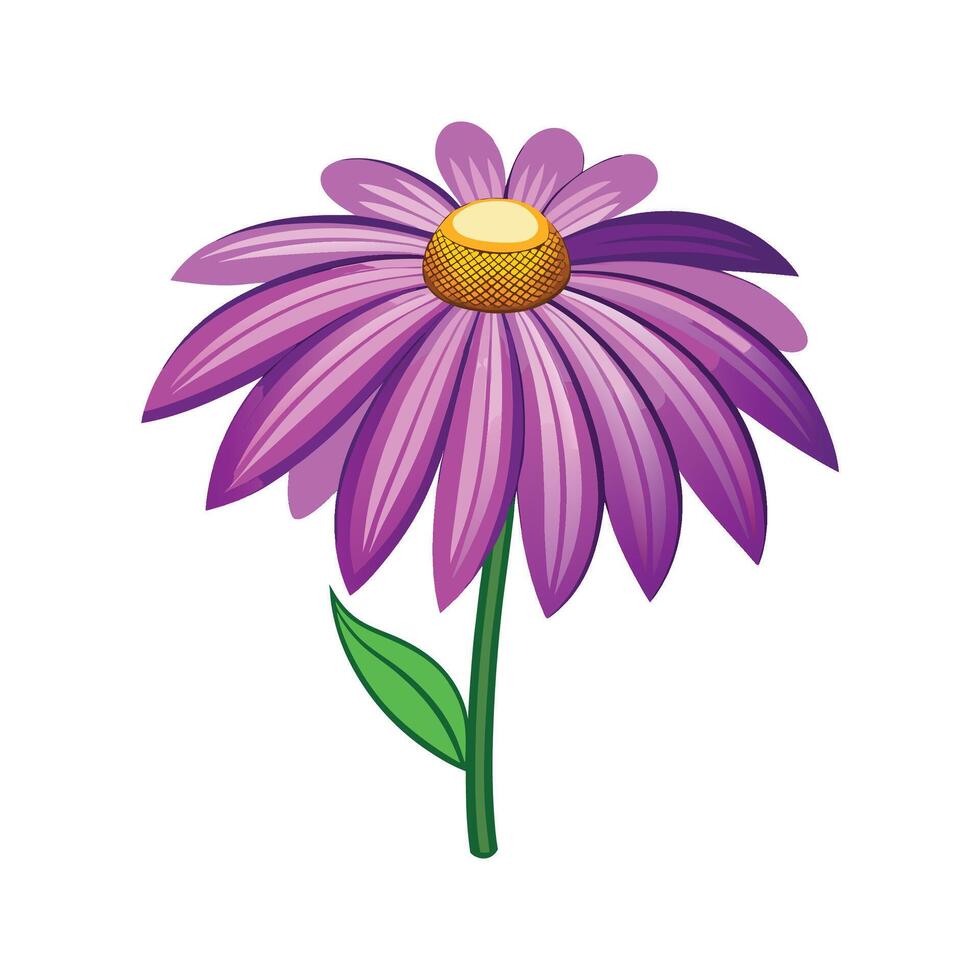 Vibrant Purple Coneflower Plant Graphic vector