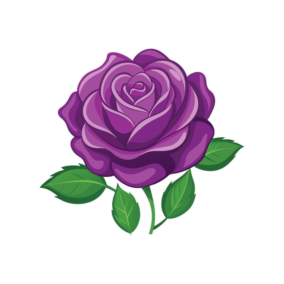 Stylish Purple Rambler Rose Flower Artwork vector