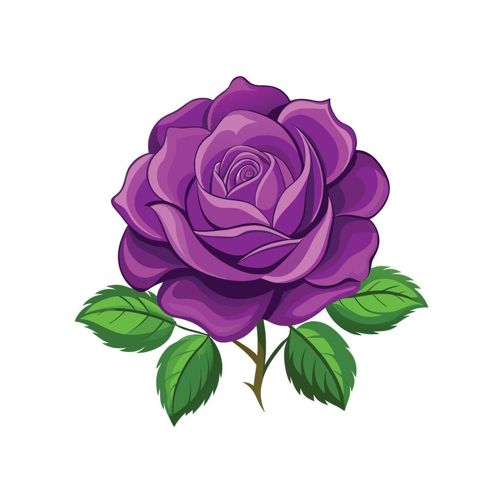 Elegant Purple Rambler Rose Plant Graphic vector