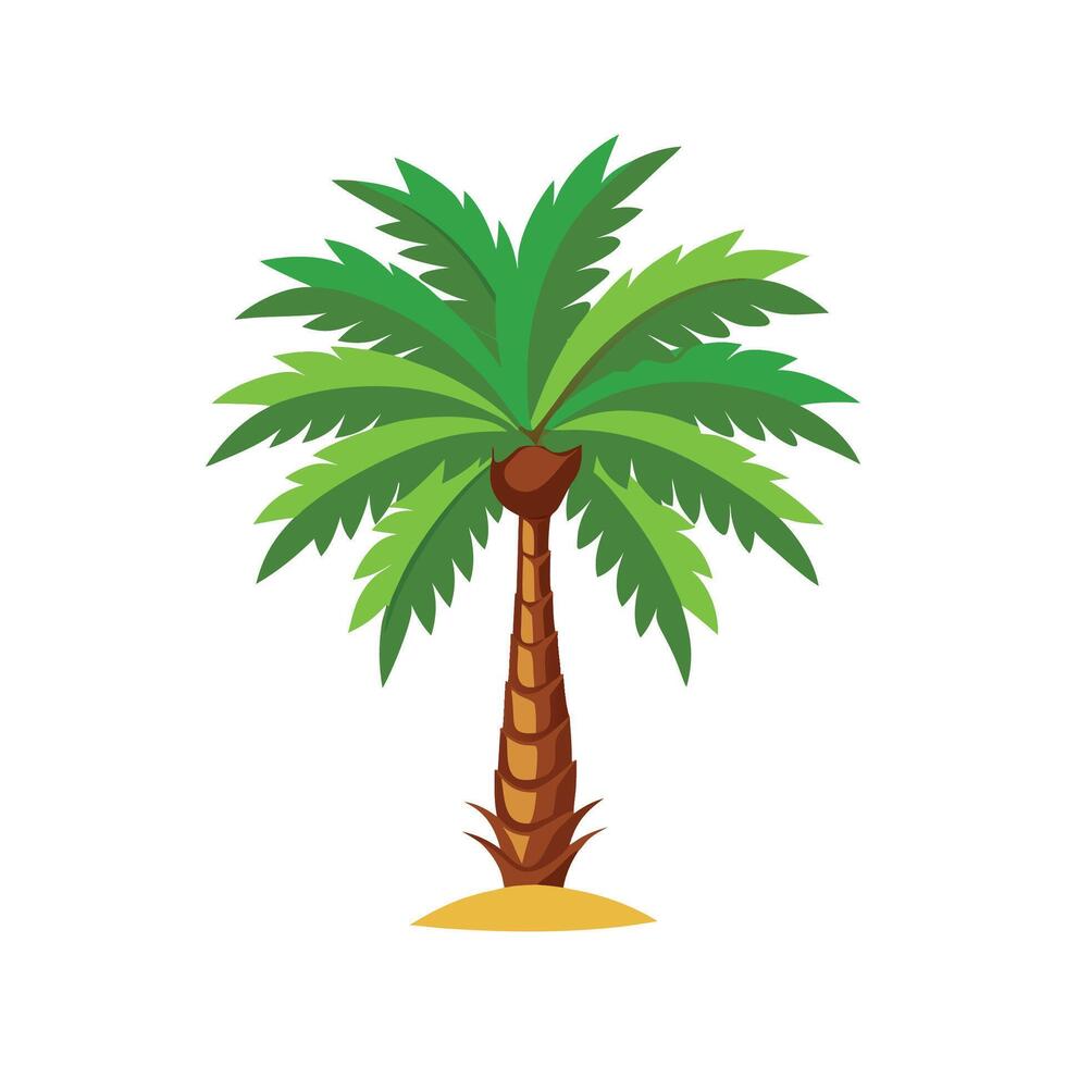 Vibrant Pygmy Date Palm Plant Graphic vector