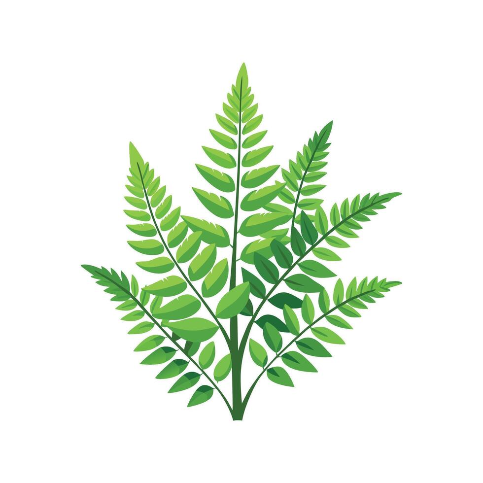 Stylish Rabbits Foot Fern Leaf Design vector