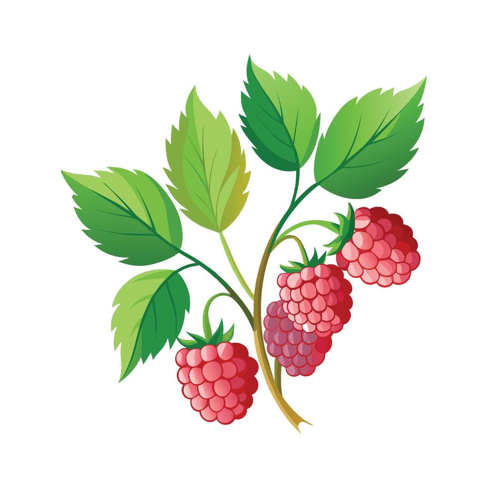 Elegant Rubus Idaeus Leaf Artwork vector