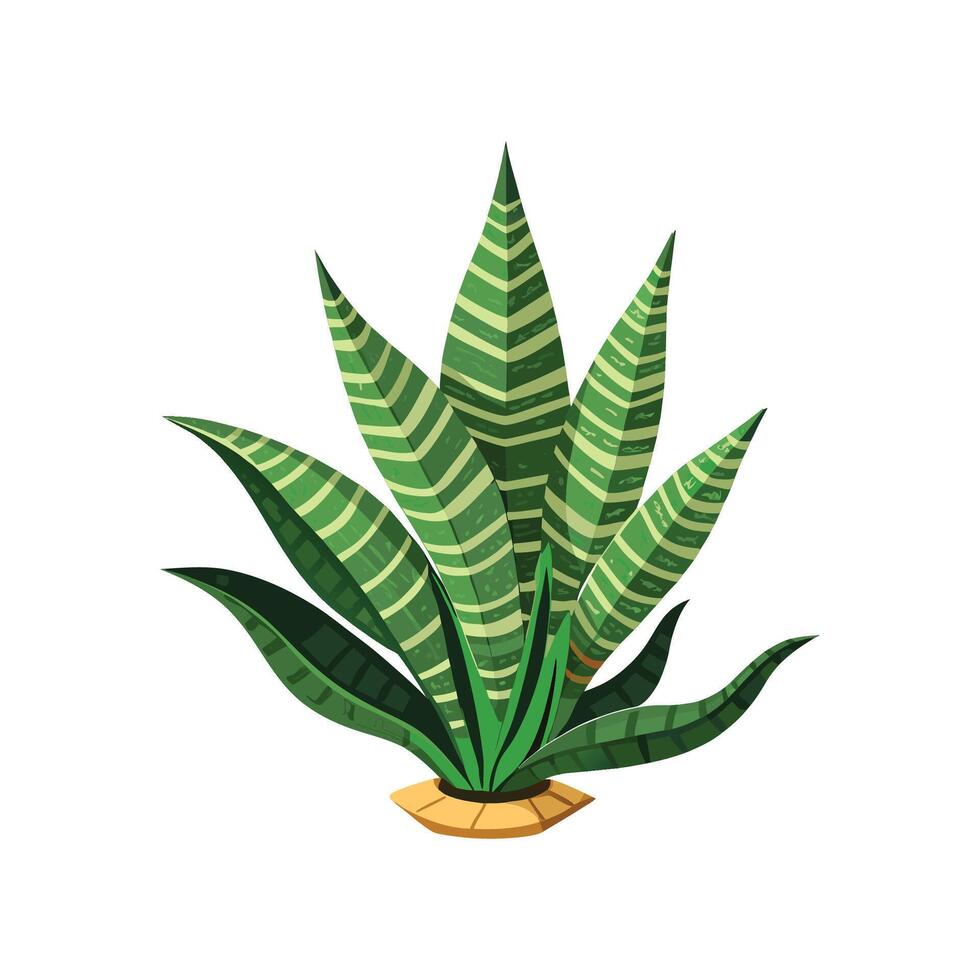 Stylish Calathea Lancifolia Leaf Design vector