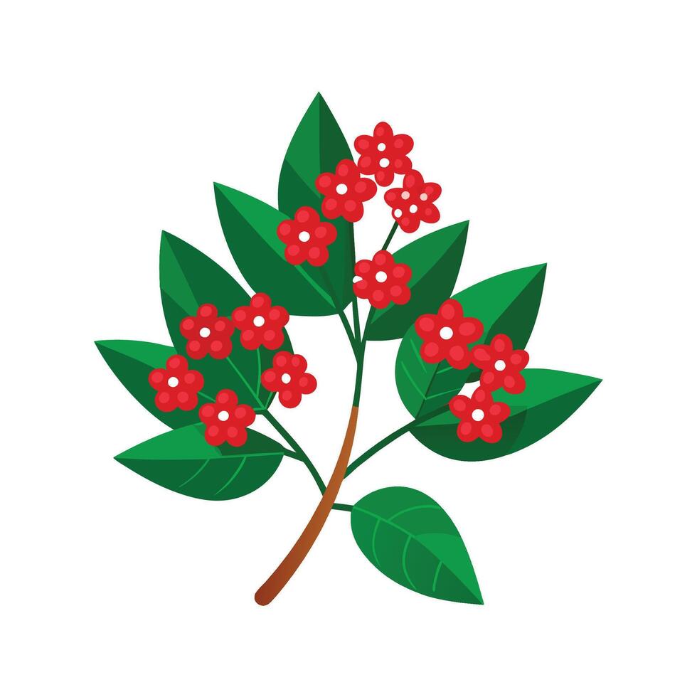 Stylish Pyracantha Leaf Artwork vector