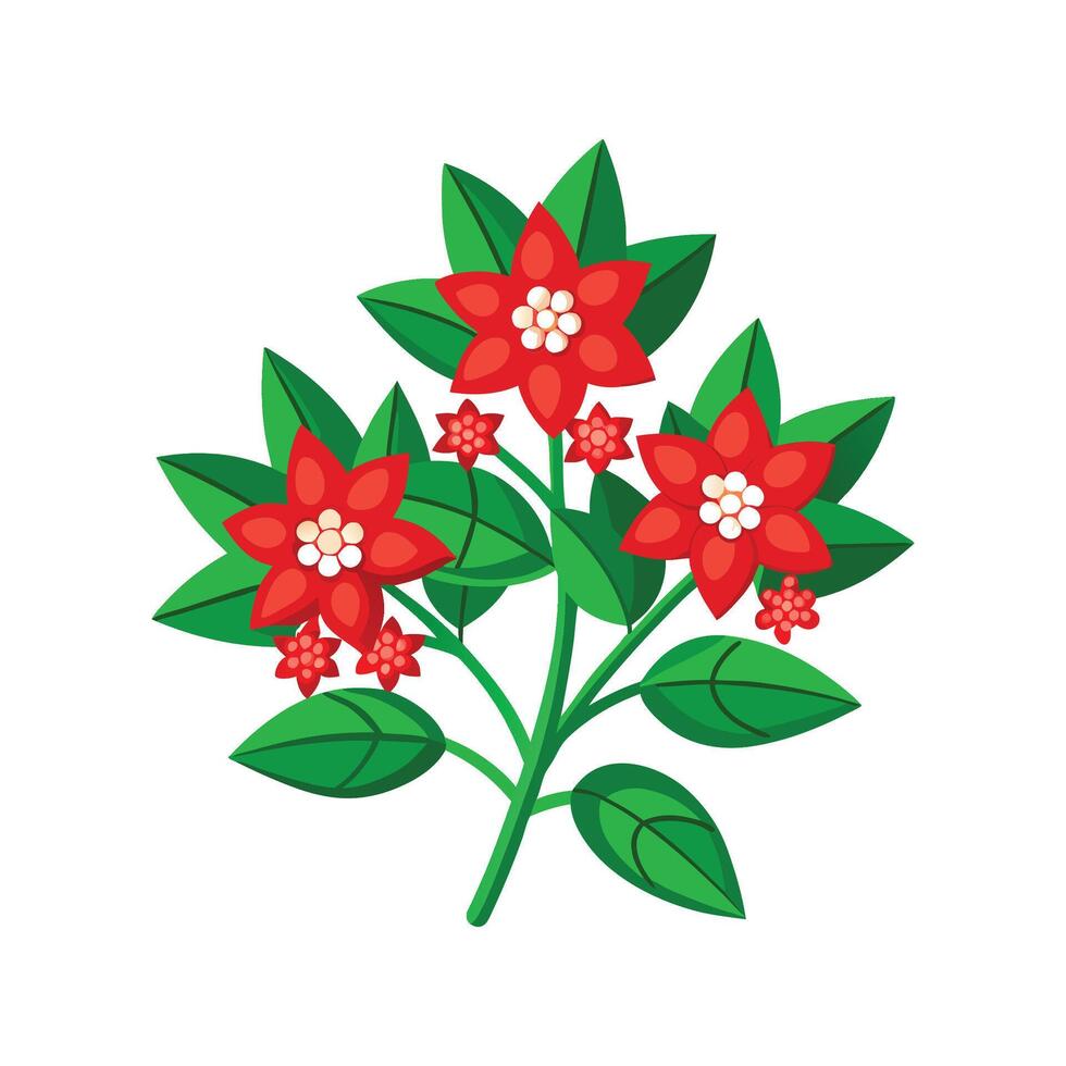 Vibrant Pyracantha Plant Design vector