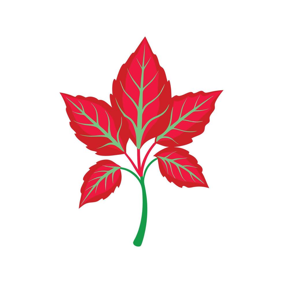 Charming Hemigraphis Leaf Artwork vector