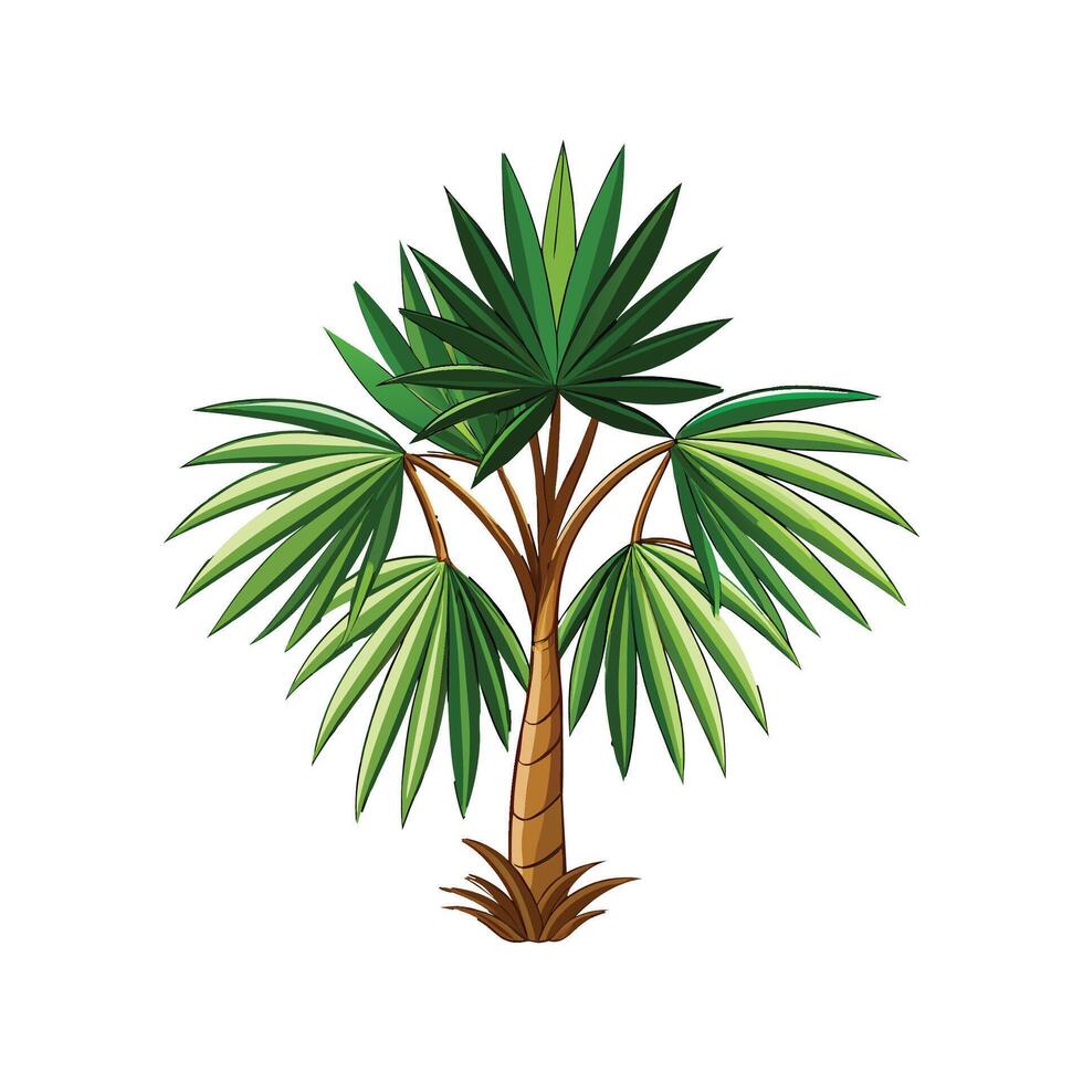 Exquisite Rhapis Palm Artwork vector