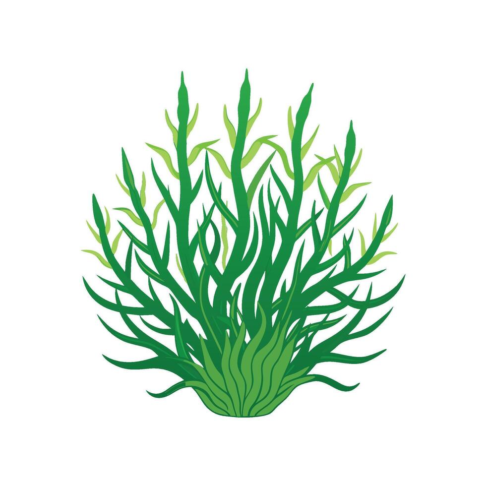 Stylish Rhipsalis Baccifera Artwork vector
