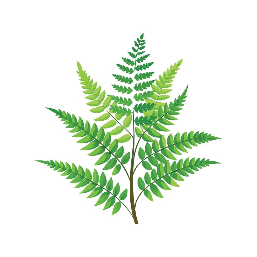 Unique River Fern Plant Design vector
