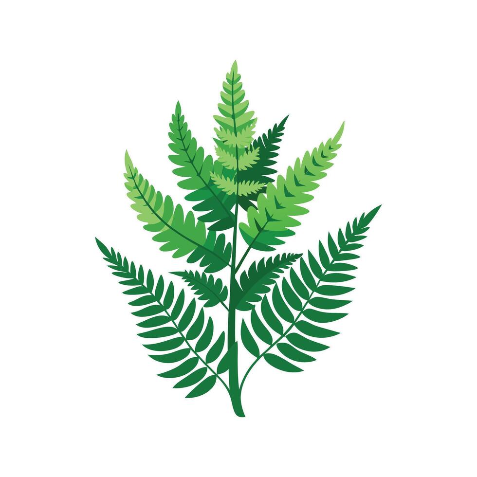 Charming River Fern Plant for Aquatic Gardens vector