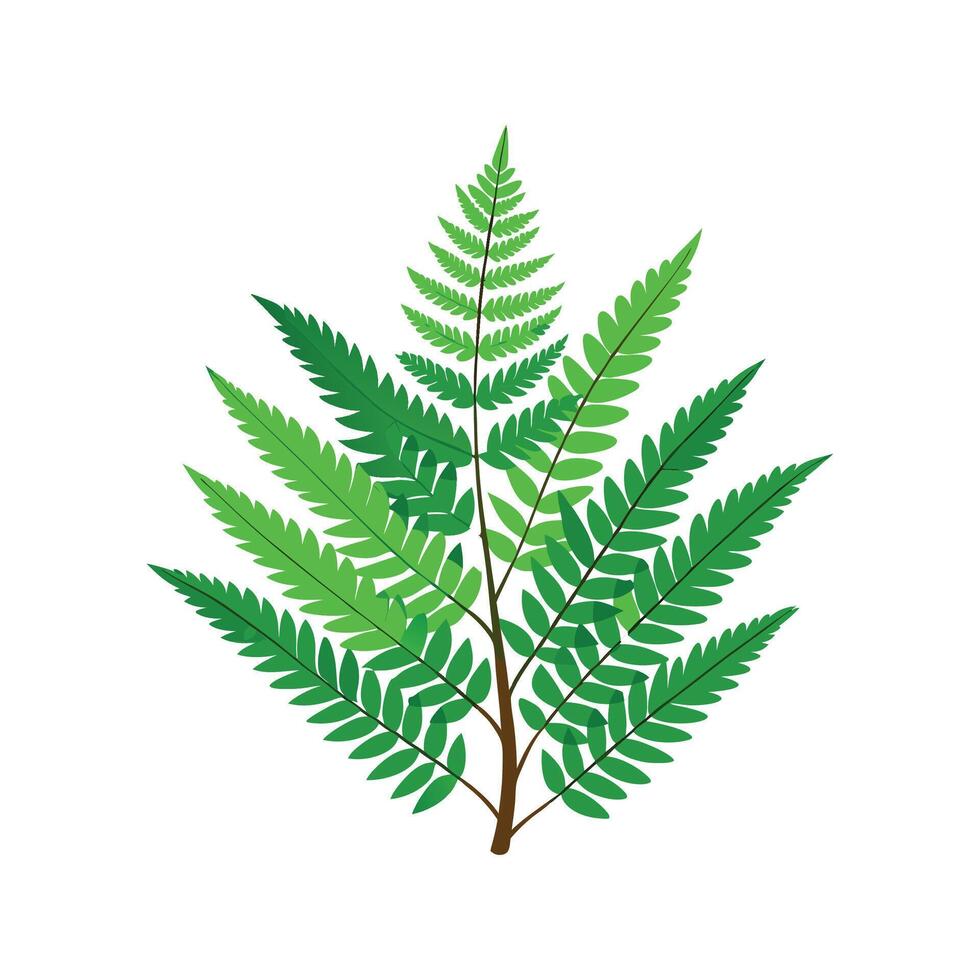 Charming River Fern Plant Illustration vector