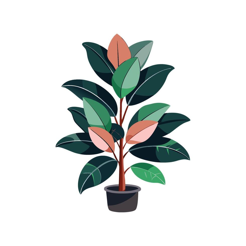 Elegant Rubber Plant Design vector