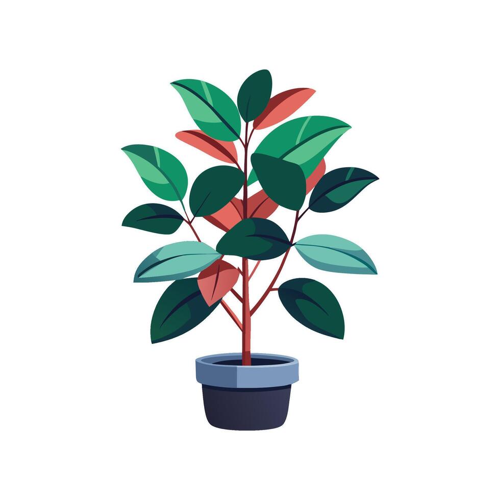 Charming Rubber Plant Artwork vector
