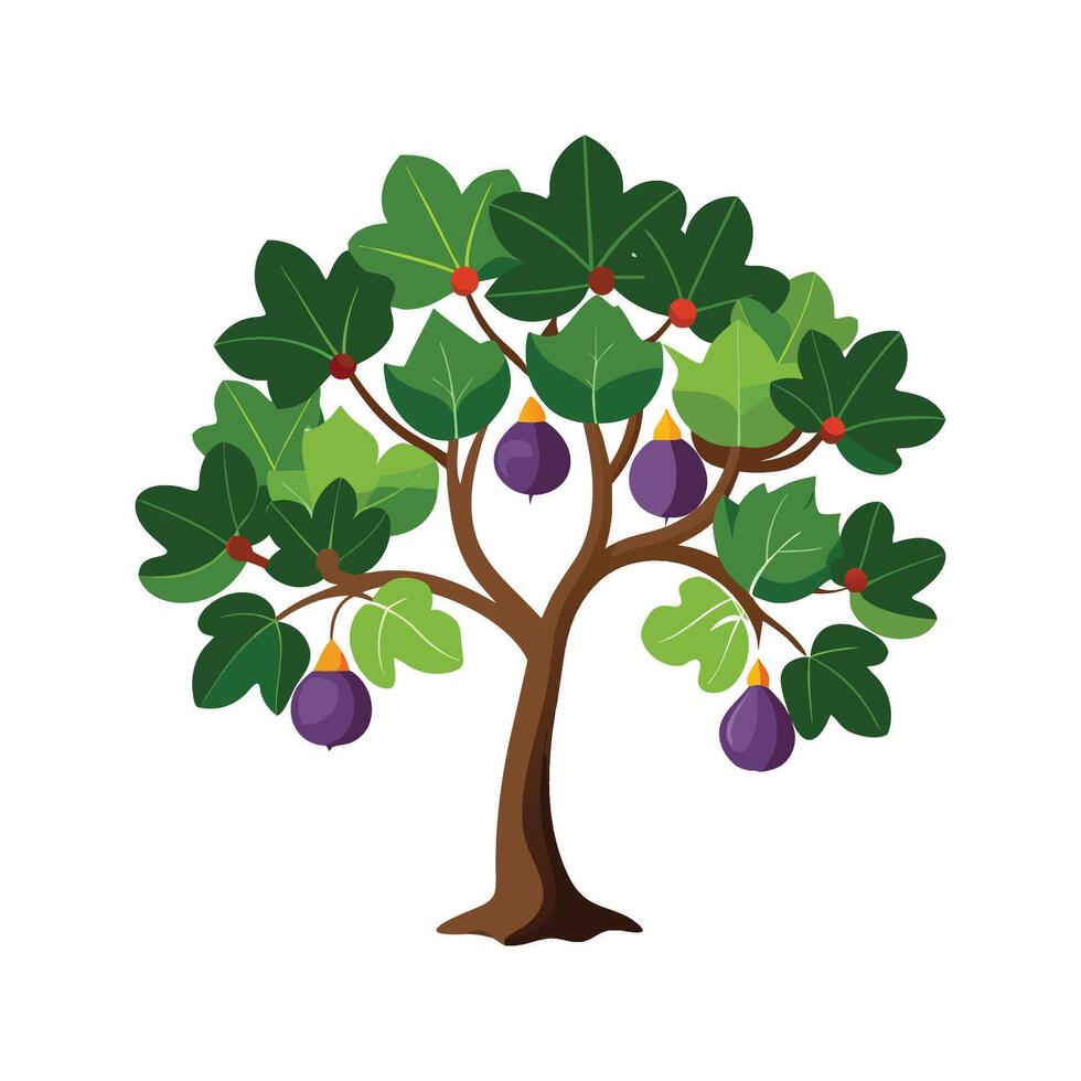 Elegant Sardinia Fig Artwork vector