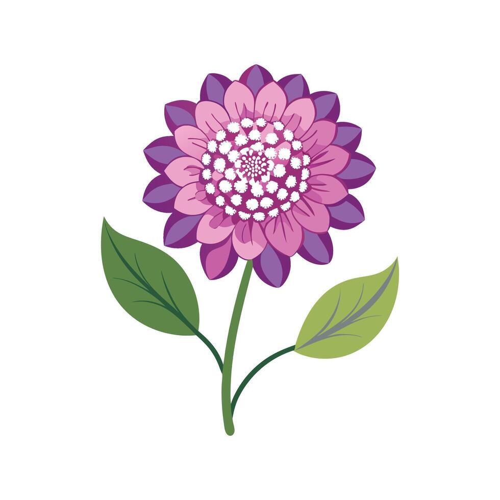 Elegant Scabiosa Plant Artwork vector