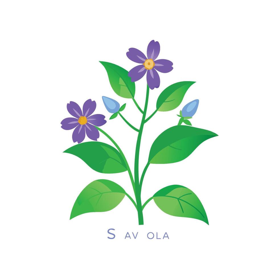 Unique Scaevola Fan Flower Artwork vector