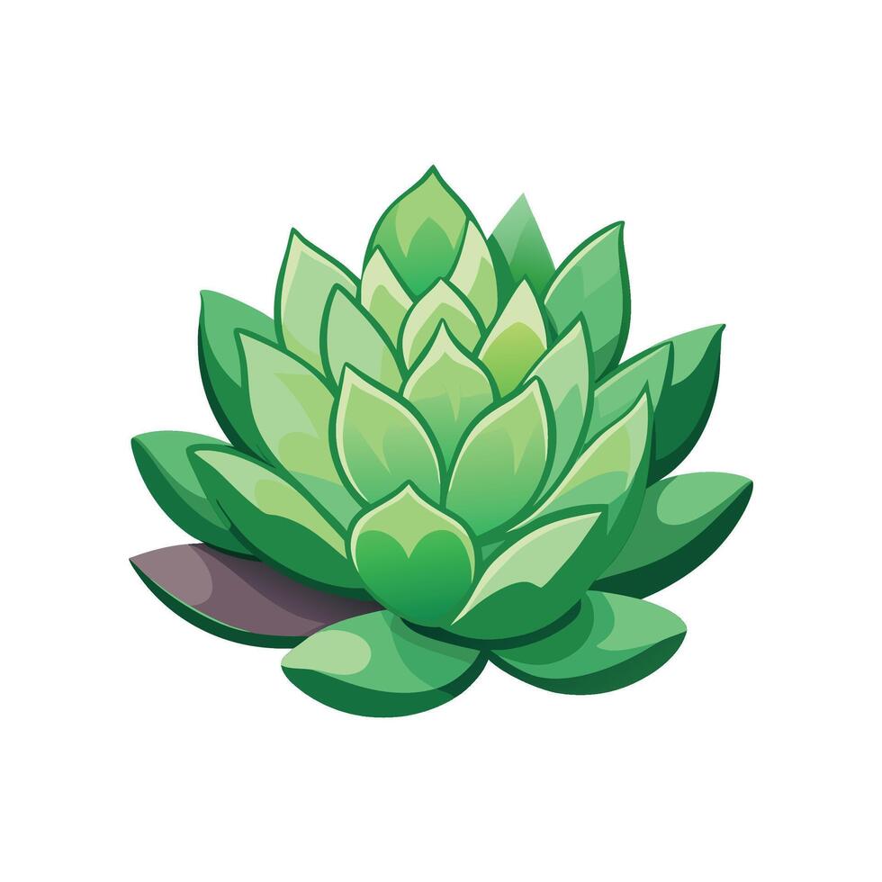 Charming Sedum Plant Artwork vector