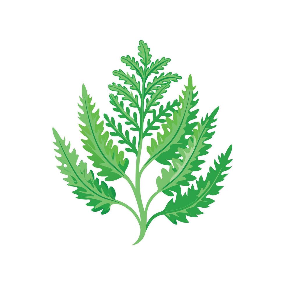 Creative Selaginella Plant Design vector