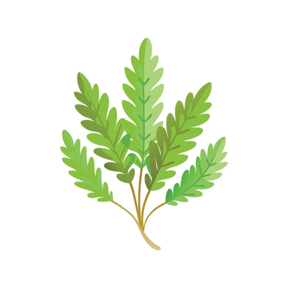 Unique Selaginella Plant Artwork vector